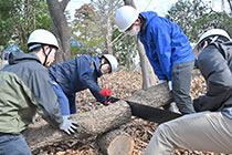 歴史ある労作で学生が新たな環境づくり　クマノザクラなど植樹し、新たにつくる都市緑地
